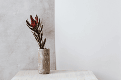 Ceramic vase, lọ gốm, bình hoa, hoa chuông protea, home decor, trang trí, minimalism, tối giản - Kaboompics.com 2