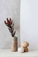 Ceramic vase, lọ gốm, bình hoa, hoa chuông protea, home decor, trang trí, minimalism, tối giản - Kaboompics.com 3