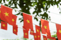Lá cờ, flag, Việt Nam, cờ đỏ sao vàng, quốc kỳ, vietnam flag, lễ hội, festival - Kha Ruxury