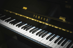 Piano, đàn piano, đàn dương cầm, dương cầm, giải trí, entertainment - Merve Nur Türker 1