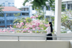 Tốt nghiệp, graduation, Học sinh, student, sinh viên, Việt Nam, con gái, cô gái, girl - Sơn Ngọc 1