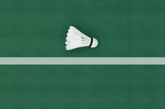 Cầu lông, badmintone, quả cầu, shuttlecock, green court, sân xanh, white line, đường trắng, sport, thể thao  - Saif71.com