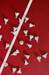 Cầu lông, badmintone, shuttlecock, red court, sân đỏ, white line, đường trắng, sport, thể thao  - SHVETS production 1