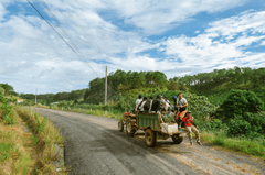 Máy cày, tractor, đường đất, dirt road, đồi, hill, rừng, forest, nông thôn, rural - Vietnam Tri Duong Photographer