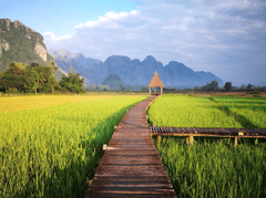 Cánh đồng, rice field, wooden bridge, cầu gỗ, mountain view, phong cảnh núi, green nature, thiên nhiên xanh, peaceful hut, chòi lá - Bilai