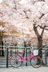 Xe đạp, xe đạp thể thao, xe, bike, thể thao, sport - Taryn Elliott