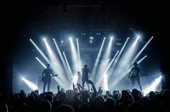 Âm nhạc, lễ hội, festival, music, giải trí, entertainment, buổi hòa nhạc, concert, show - Thibault Trillet
