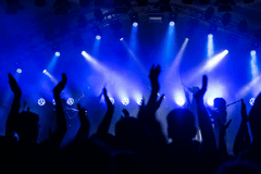 Âm nhạc, lễ hội, festival, music, giải trí, entertainment, buổi hòa nhạc, concert, show - Wolfgang