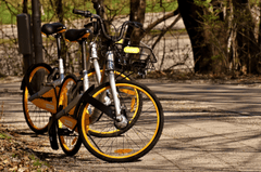 Xe đạp, xe đạp thể thao, xe, bike, thể thao, sport - Alexas_Fotos