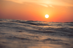 Biển, bãi biển, hoàng hôn, bình minh, nước, sea, beach,  sunset, sunrise, water - Pexels