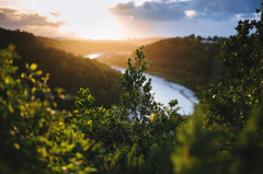 Lá, thực vật, sông, hồ, núi, leaves, river, lake, mountain, plants - Pexels