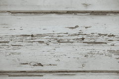 Tường, gỗ, wall, wood, hình nền, nền, background- Engin_Akyurt
