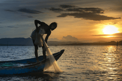 Kéo lưới, đánh cá, làng chài, ngư dân, biển, dragnet, fishing, fishing village, fisherman, sea - Quangpraha 1