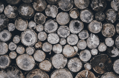 Gỗ, củi, xếp chồng, wood, firewood, stacking - Pexels 1