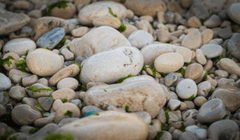 Đá, sỏi,  gravel, stone - Pexels