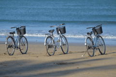 Xe đạp, xe đạp thể thao, xe, bike, thể thao, sport - Peggy_Marco