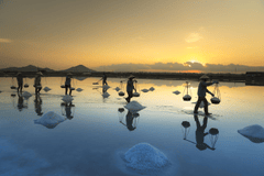 Làm muối, làng muối, người dân, salt making, salt village, people- Quangpraha 2