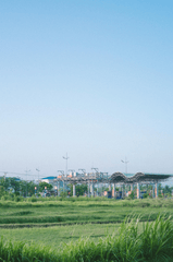 Cánh đồng, bầu trời, field, sky -Vien_beos