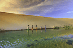 Cát vàng, đồi cát, trẻ em, yellow sand, sand dunes, children  - Quangpraha 2