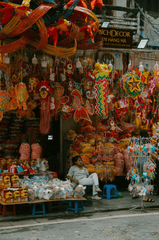 Lồng đèn, đèn lồng, đèn trung thu, trung thu, mid autumn, lễ hội, festival - HONG SON 6