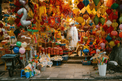 Lồng đèn, đèn lồng, đèn trung thu, trung thu, mid autumn, lễ hội, festival - HONG SON 4