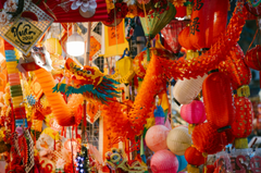 Lồng đèn, đèn lồng, đèn trung thu, trung thu, mid autumn, lễ hội, festival - HONG SON 1