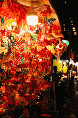 Lồng đèn, đèn lồng, đèn trung thu, trung thu, mid autumn, lễ hội, festival - Tuan Vy 2