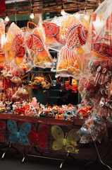 Lồng đèn, đèn lồng, đèn trung thu, trung thu, mid autumn, lễ hội, festival - Tuan Vy 1