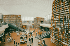 Sách, nhà sách, thư viện, kệ sách, books, bookstores, libraries, bookshelves-thaoantran0101