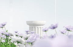 Hình nền, background, nền, cỏ, bãi cỏ, hoa, flower, bệ đỡ, podium, quảng cáo 31