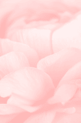 Ánh sáng, light, color gradient, màu hồng, pink, gradient, nền, hình nền, background 8