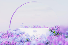 Hình nền, background, nền, cỏ, bãi cỏ, hoa, flower, bệ đỡ, podium, quảng cáo 12