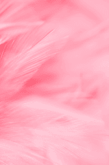 Ánh sáng, light, color gradient, màu hồng, pink, gradient, nền, hình nền, background 9