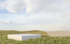 Hình nền, background, nền, cỏ, bãi cỏ, hoa, flower, bệ đỡ, podium, quảng cáo 3