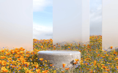 Hình nền, background, nền, cỏ, bãi cỏ, hoa, flower, bệ đỡ, podium, quảng cáo 24