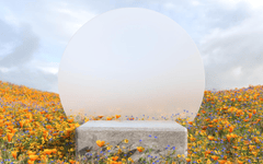 Hình nền, background, nền, cỏ, bãi cỏ, hoa, flower, bệ đỡ, podium, quảng cáo 37