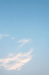 Mây, trời, nền, hình nền, clouds, sky, background -𝗛&𝗖𝗢