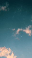 Mây, trời, nền, hình nền, clouds, sky, background -alma Moudood