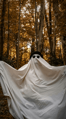 Ma, ghost, con ma, halloween, hóa trang, lễ hội hóa trang, lễ hội ma quái, festival - Ebru DOĞAN