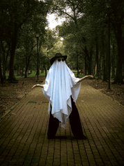 Ma, ghost, con ma, halloween, hóa trang, lễ hội hóa trang, lễ hội ma quái, festival - Ericka Sánchez 16