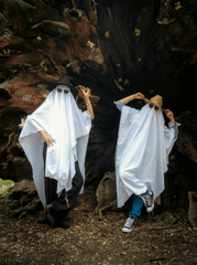 Ma, ghost, con ma, halloween, hóa trang, lễ hội hóa trang, lễ hội ma quái, festival - Ericka Sánchez 3