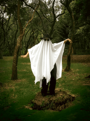 Ma, ghost, con ma, halloween, hóa trang, lễ hội hóa trang, lễ hội ma quái, festival - Ericka Sánchez 8