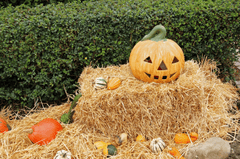 Halloween, con ma, ghost, lễ lội hóa trang, lễ hội, festival, sự kiện, event, horrible - Gerhard Giebener