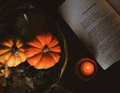 Bí đỏ, bí ngô, pumpkin, halloween, lễ hội hóa trang, lễ hội ma quái, festival - hayriyenur