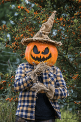 Halloween, con ma, ghost, lễ lội hóa trang, lễ hội, festival, sự kiện, event, horrible - Juan Felipe Ramírez