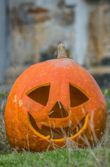 Halloween, bí đỏ, bí ngô, pumpkin, lễ lội hóa trang, lễ hội, festival, sự kiện, event, horrible - Juan Felipe Ramírez