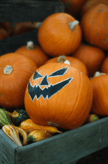 Halloween, con ma, ghost, lễ lội hóa trang, lễ hội, festival, sự kiện, event, horrible - Mathias Reding