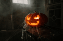 Bí đỏ, đèn bí đỏ, trang trí lễ hội halloween, ánh sáng, kinh dị, đêm tối, pumpkin lantern, halloween decoration, light, horror, dark night - Karola G 8
