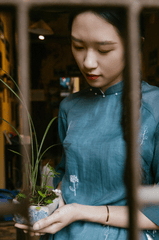 Cô gái, con gái, thiếu nữ, girl, Việt Nam, áo dài, truyền thống, traditional, Hồ Gươm, Hà Nội - Dang Hong 86