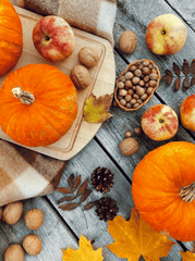Bí đỏ, halloween, trang trí, không khí halloween, mùa thu, pumpkin, halloween, decoration, halloween atmosphere, autumn - Karola G 6